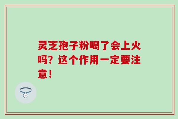灵芝孢子粉喝了会上火吗？这个作用一定要注意！