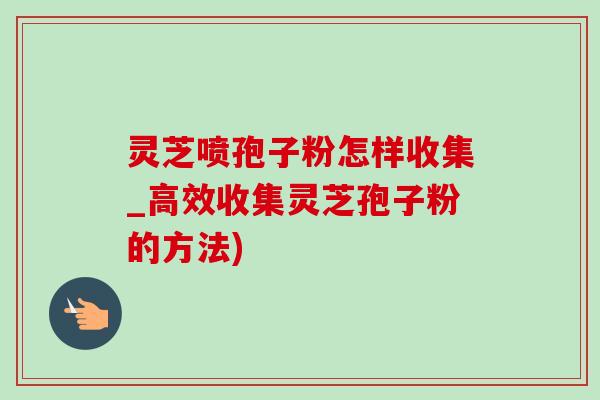 灵芝喷孢子粉怎样收集_高效收集灵芝孢子粉的方法)