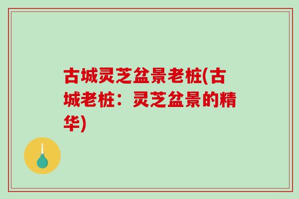古城灵芝盆景老桩(古城老桩:灵芝盆景的精华) 古城灵芝盆景老桩(古城老桩:灵芝盆景的精华)
