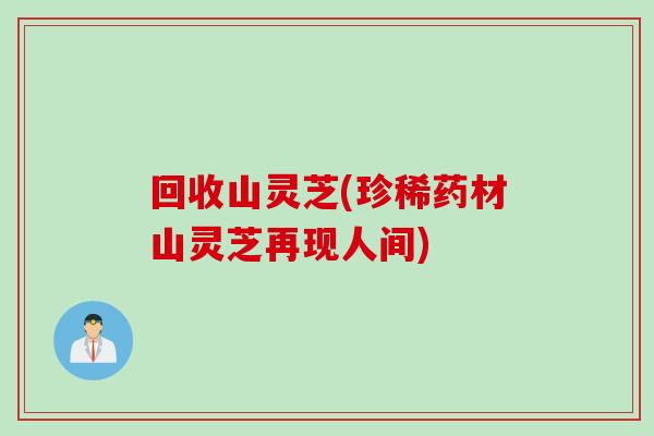 回收山灵芝(珍稀药材山灵芝再现人间) 回收山灵芝(珍稀药材山灵芝再现人间)
