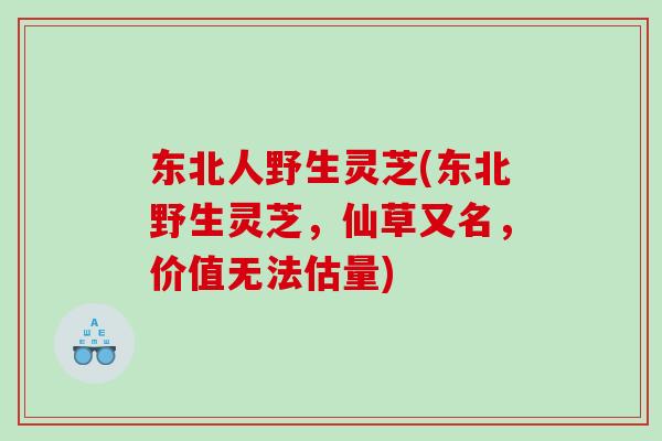 东北人野生灵芝(东北野生灵芝,仙草又名,价值无法估量) 东北人野生灵芝(东北野生灵芝,仙草又名,价值无法估量)