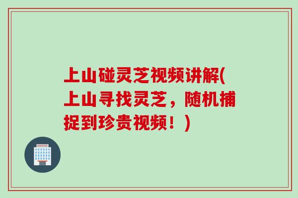 上山碰灵芝视频讲解(上山寻找灵芝,随机捕捉到珍贵视频!) 上山碰灵芝视频讲解(上山寻找灵芝,随机捕捉到珍贵视频!)