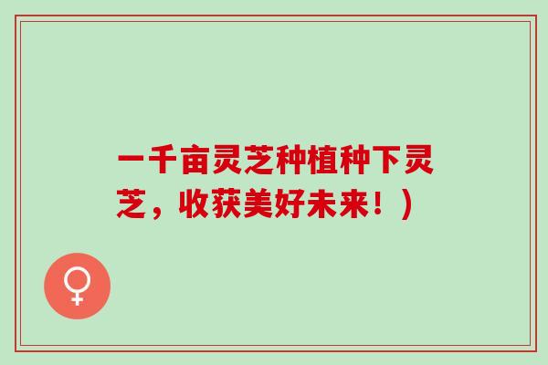 一千亩灵芝种植种下灵芝，收获美好未来！)
