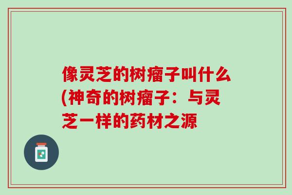 像灵芝的树瘤子叫什么(神奇的树瘤子：与灵芝一样的药材之源