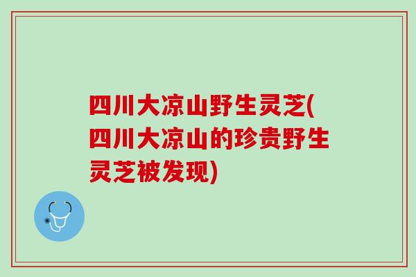 四川大凉山野生灵芝(四川大凉山的珍贵野生灵芝被发现) 四川大凉山野生灵芝(四川大凉山的珍贵野生灵芝被发现)