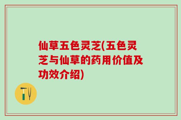 仙草五色灵芝(五色灵芝与仙草的药用价值及功效介绍) 仙草五色灵芝(五色灵芝与仙草的药用价值及功效介绍)