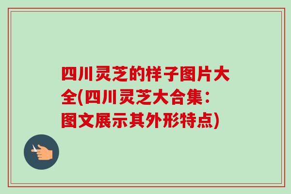 四川灵芝的样子图片大全(四川灵芝大合集:图文展示其外形特点) 四川灵芝的样子图片大全(四川灵芝大合集:图文展示其外形特点)