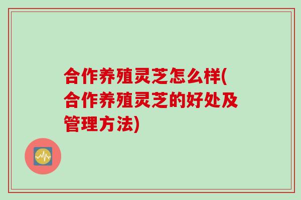 合作养殖灵芝怎么样(合作养殖灵芝的好处及管理方法)