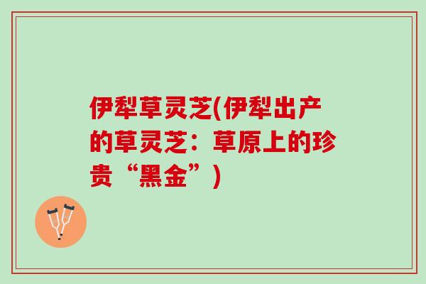 伊犁草灵芝(伊犁出产的草灵芝：草原上的珍贵“黑金”)
