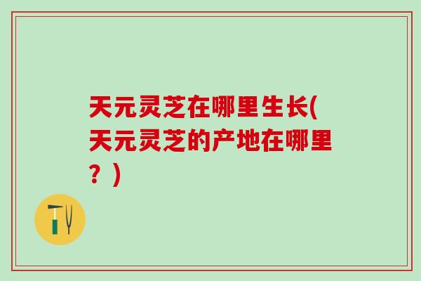 天元灵芝在哪里生长(天元灵芝的产地在哪里?) 天元灵芝在哪里生长(天元灵芝的产地在哪里?)