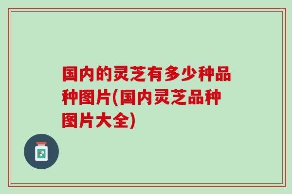 国内的灵芝有多少种品种图片(国内灵芝品种图片大全) 国内的灵芝有多少种品种图片(国内灵芝品种图片大全)