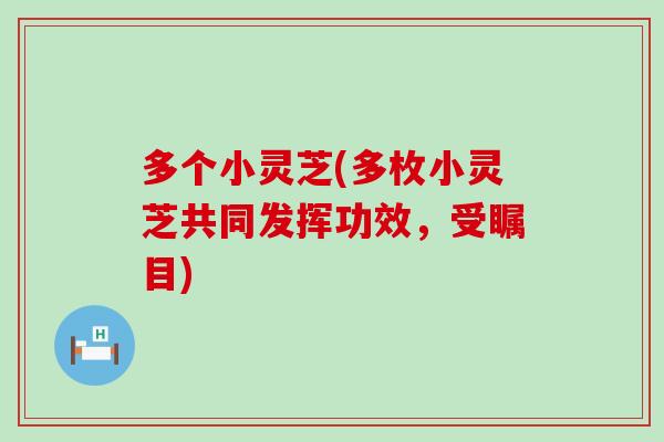 多个小灵芝(多枚小灵芝共同发挥功效,受瞩目) 多个小灵芝(多枚小灵芝共同发挥功效,受瞩目)