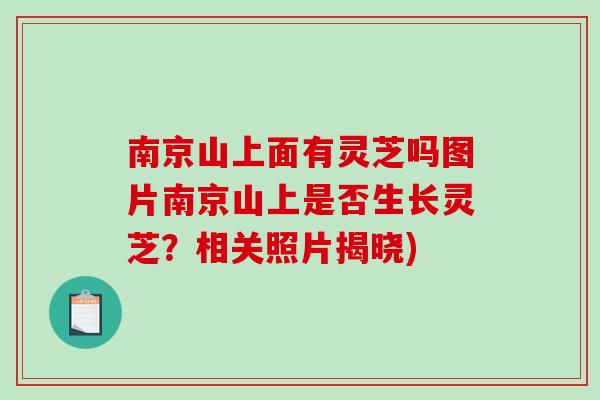 南京山上面有灵芝吗图片南京山上是否生长灵芝?相关照片揭晓) 南京山上面有灵芝吗图片南京山上是否生长灵芝?相关照片揭晓)