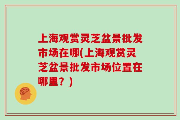 上海观赏灵芝盆景批发市场在哪(上海观赏灵芝盆景批发市场位置在哪里?) 上海观赏灵芝盆景批发市场在哪(上海观赏灵芝盆景批发市场位置在哪里?)