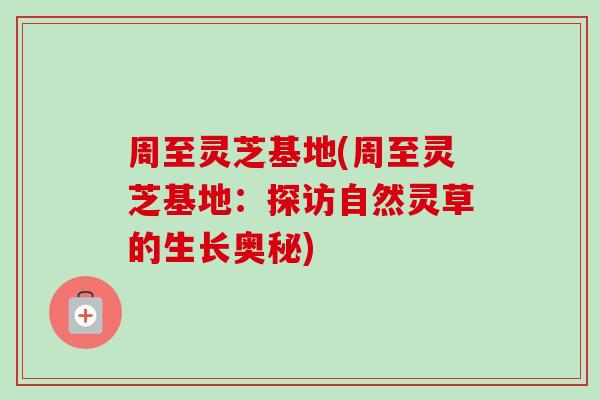 周至灵芝基地(周至灵芝基地:探访自然灵草的生长奥秘) 周至灵芝基地(周至灵芝基地:探访自然灵草的生长奥秘)