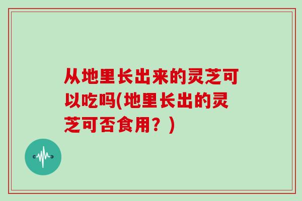 从地里长出来的灵芝可以吃吗(地里长出的灵芝可否食用?) 从地里长出来的灵芝可以吃吗(地里长出的灵芝可否食用?)