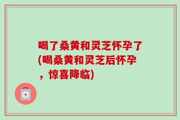 喝了桑黄和灵芝怀孕了(喝桑黄和灵芝后怀孕，惊喜降临)