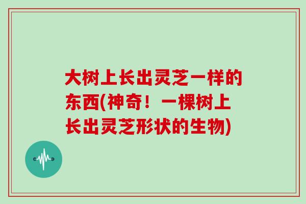 大树上长出灵芝一样的东西(神奇!一棵树上长出灵芝形状的生物) 大树上长出灵芝一样的东西(神奇!一棵树上长出灵芝形状的生物)