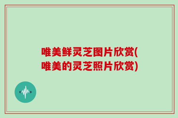 唯美鲜灵芝图片欣赏(唯美的灵芝照片欣赏) 唯美鲜灵芝图片欣赏(唯美的灵芝照片欣赏)
