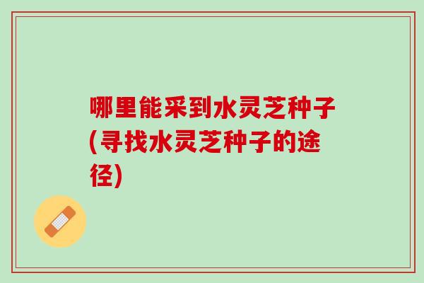 哪里能采到水灵芝种子(寻找水灵芝种子的途径) 哪里能采到水灵芝种子(寻找水灵芝种子的途径)