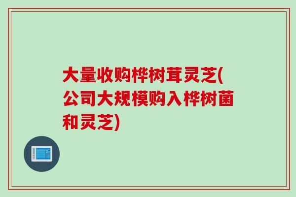 大量收购桦树茸灵芝(公司大规模购入桦树菌和灵芝)