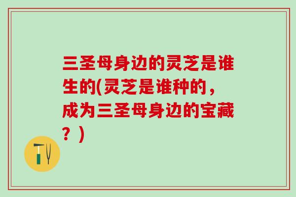 三圣母身边的灵芝是谁生的(灵芝是谁种的,成为三圣母身边的宝藏?) 三圣母身边的灵芝是谁生的(灵芝是谁种的,成为三圣母身边的宝藏?)