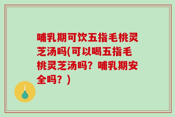 哺乳期可饮五指毛桃灵芝汤吗(可以喝五指毛桃灵芝汤吗?哺乳期安全吗?) 哺乳期可饮五指毛桃灵芝汤吗(可以喝五指毛桃灵芝汤吗?哺乳期安全吗?)