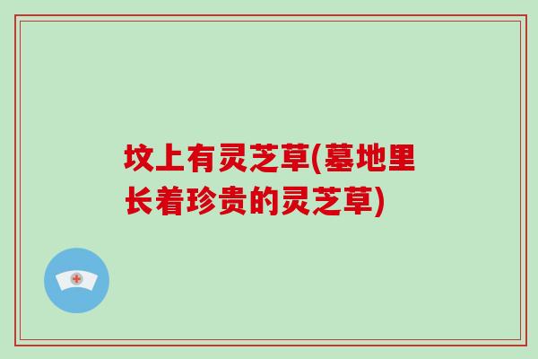 坟上有灵芝草(墓地里长着珍贵的灵芝草)