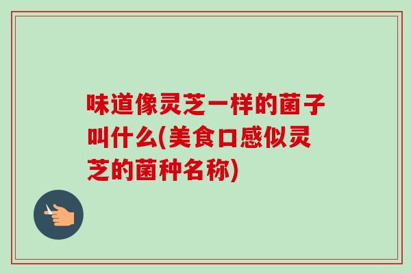味道像灵芝一样的菌子叫什么(美食口感似灵芝的菌种名称) 味道像灵芝一样的菌子叫什么(美食口感似灵芝的菌种名称)