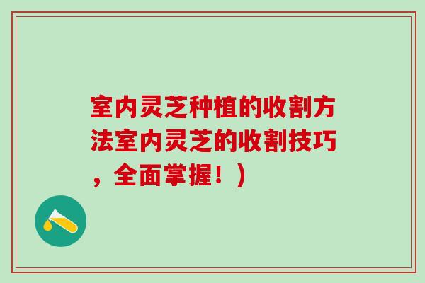 室内灵芝种植的收割方法室内灵芝的收割技巧,全面掌握!) 室内灵芝种植的收割方法室内灵芝的收割技巧,全面掌握!)