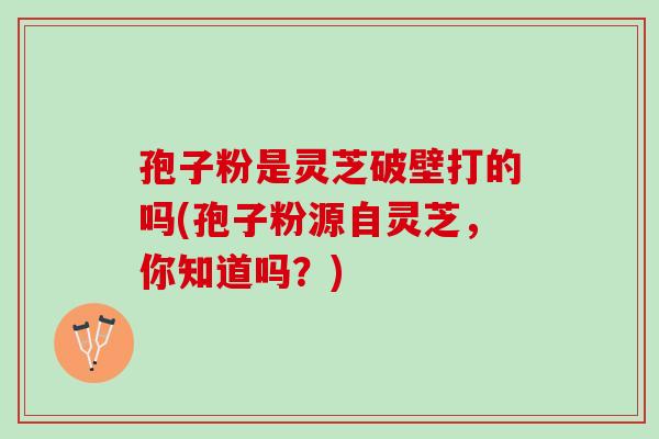 孢子粉是灵芝破壁打的吗(孢子粉源自灵芝,你知道吗?) 孢子粉是灵芝破壁打的吗(孢子粉源自灵芝,你知道吗?)