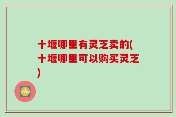 十堰哪里有灵芝卖的(十堰哪里可以购买灵芝) 十堰哪里有灵芝卖的(十堰哪里可以购买灵芝)