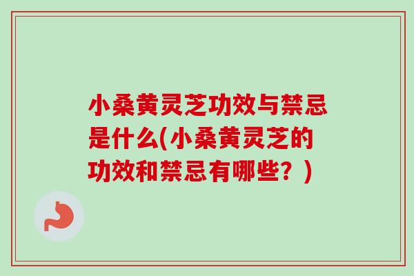 小桑黄灵芝功效与禁忌是什么(小桑黄灵芝的功效和禁忌有哪些?) 小桑黄灵芝功效与禁忌是什么(小桑黄灵芝的功效和禁忌有哪些?)