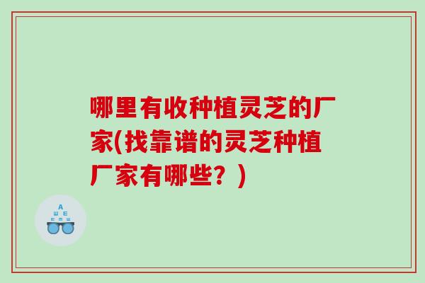 哪里有收种植灵芝的厂家(找靠谱的灵芝种植厂家有哪些？)