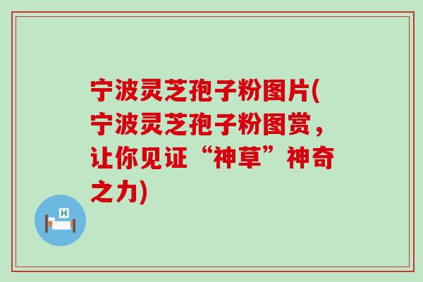 宁波灵芝孢子粉图片(宁波灵芝孢子粉图赏,让你见证“神草”神奇之力) 宁波灵芝孢子粉图片(宁波灵芝孢子粉图赏,让你见证“神草”神奇之力)