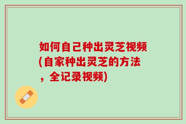 如何自己种出灵芝视频(自家种出灵芝的方法,全记录视频) 如何自己种出灵芝视频(自家种出灵芝的方法,全记录视频)