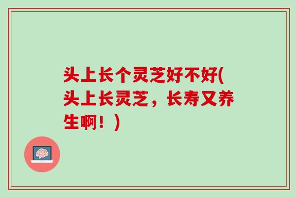 头上长个灵芝好不好(头上长灵芝，长寿又养生啊！)