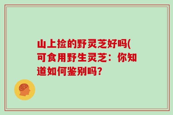 山上捡的野灵芝好吗(可食用野生灵芝:你知道如何鉴别吗? 山上捡的野灵芝好吗(可食用野生灵芝:你知道如何鉴别吗?