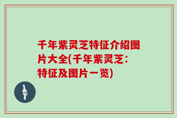 千年紫灵芝特征介绍图片大全(千年紫灵芝：特征及图片一览)