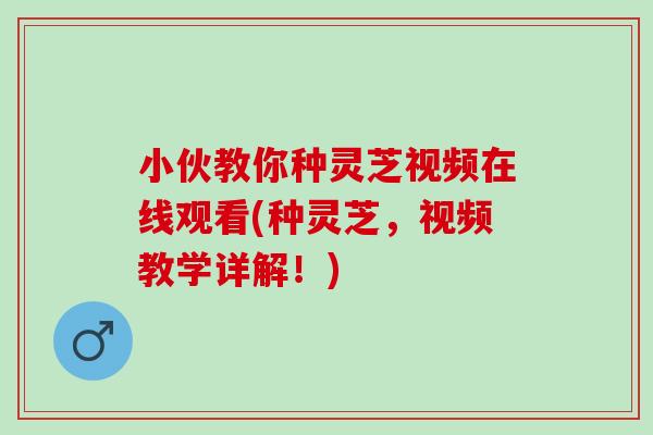 小伙教你种灵芝视频在线观看(种灵芝,视频教学详解!) 小伙教你种灵芝视频在线观看(种灵芝,视频教学详解!)