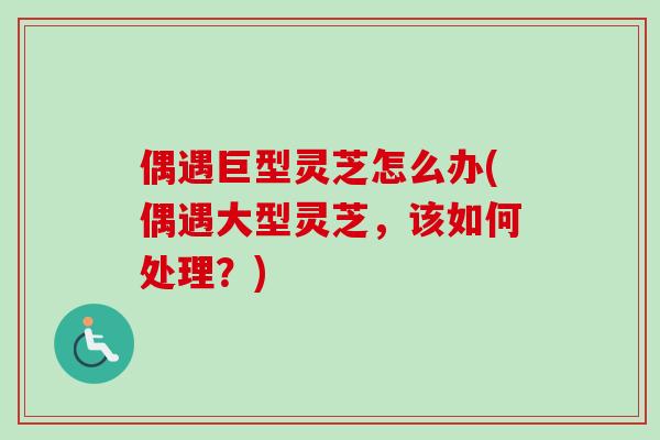 偶遇巨型灵芝怎么办(偶遇大型灵芝,该如何处理?) 偶遇巨型灵芝怎么办(偶遇大型灵芝,该如何处理?)
