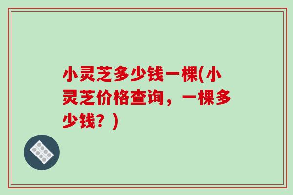 小灵芝多少钱一棵(小灵芝价格查询,一棵多少钱?) 小灵芝多少钱一棵(小灵芝价格查询,一棵多少钱?)