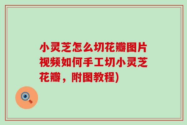 小灵芝怎么切花瓣图片视频如何手工切小灵芝花瓣,附图教程) 小灵芝怎么切花瓣图片视频如何手工切小灵芝花瓣,附图教程)