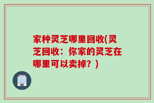 家种灵芝哪里回收(灵芝回收:你家的灵芝在哪里可以卖掉?) 家种灵芝哪里回收(灵芝回收:你家的灵芝在哪里可以卖掉?)