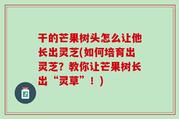 干的芒果树头怎么让他长出灵芝(如何培育出灵芝?教你让芒果树长出“灵草”!) 干的芒果树头怎么让他长出灵芝(如何培育出灵芝?教你让芒果树长出“灵草”!)