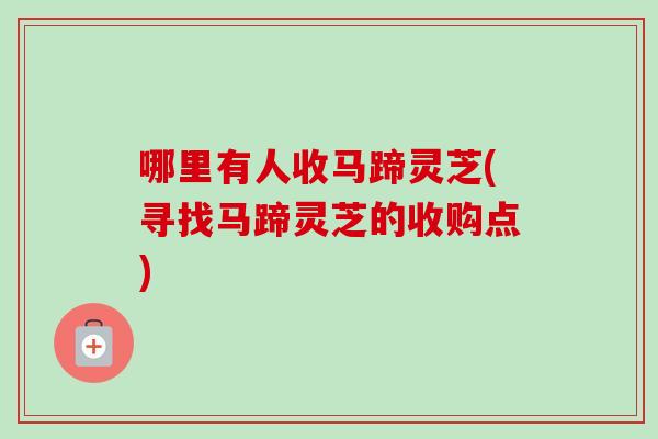 哪里有人收马蹄灵芝(寻找马蹄灵芝的收购点) 哪里有人收马蹄灵芝(寻找马蹄灵芝的收购点)