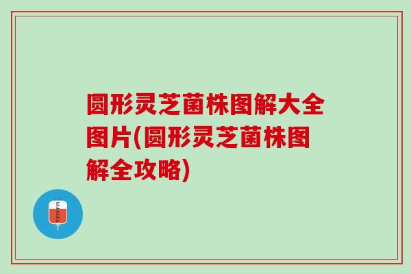 圆形灵芝菌株图解大全图片(圆形灵芝菌株图解全攻略) 圆形灵芝菌株图解大全图片(圆形灵芝菌株图解全攻略)