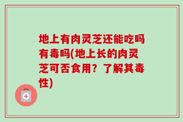 地上有肉灵芝还能吃吗有毒吗(地上长的肉灵芝可否食用?了解其毒性) 地上有肉灵芝还能吃吗有毒吗(地上长的肉灵芝可否食用?了解其毒性)