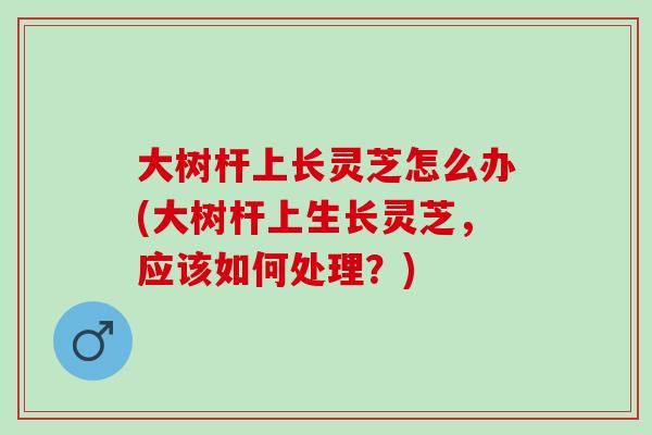 大树杆上长灵芝怎么办(大树杆上生长灵芝,应该如何处理?) 大树杆上长灵芝怎么办(大树杆上生长灵芝,应该如何处理?)