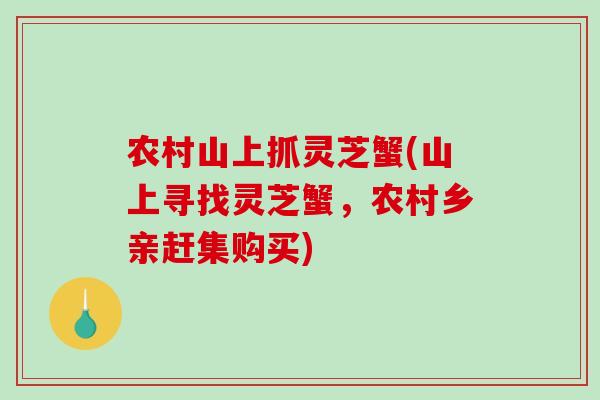 农村山上抓灵芝蟹(山上寻找灵芝蟹,农村乡亲赶集购买) 农村山上抓灵芝蟹(山上寻找灵芝蟹,农村乡亲赶集购买)
